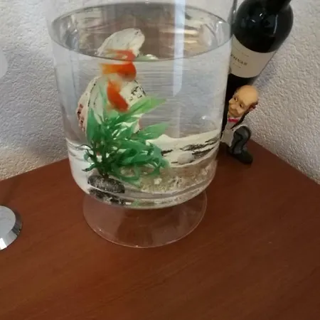 Apartment Radun Split