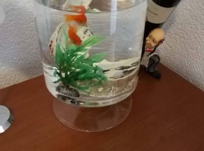 Apartment Radun Split